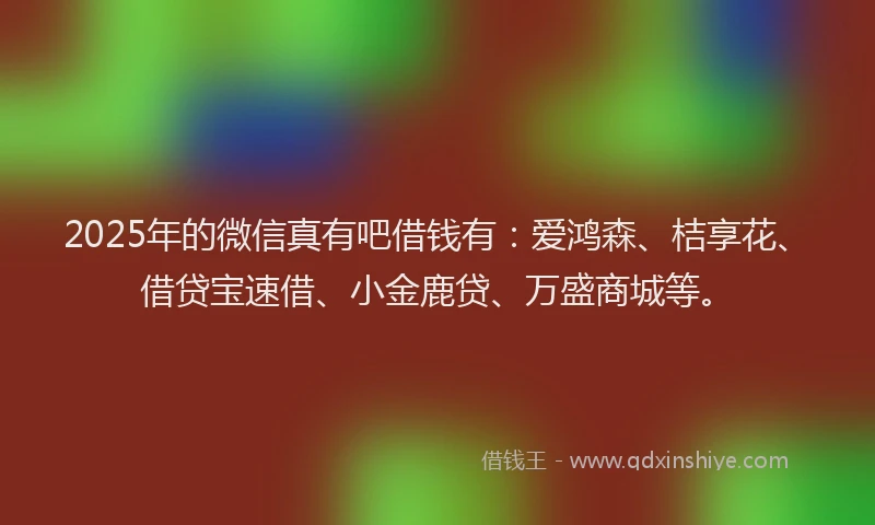 2025年的微信真有吧借钱有：爱鸿森、桔享花、借贷宝速借、小金鹿贷、万盛商城等。
