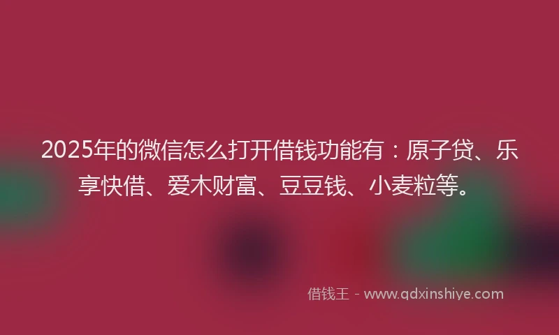 2025年的微信怎么打开借钱功能有：原子贷、乐享快借、爱木财富、豆豆钱、小麦粒等。
