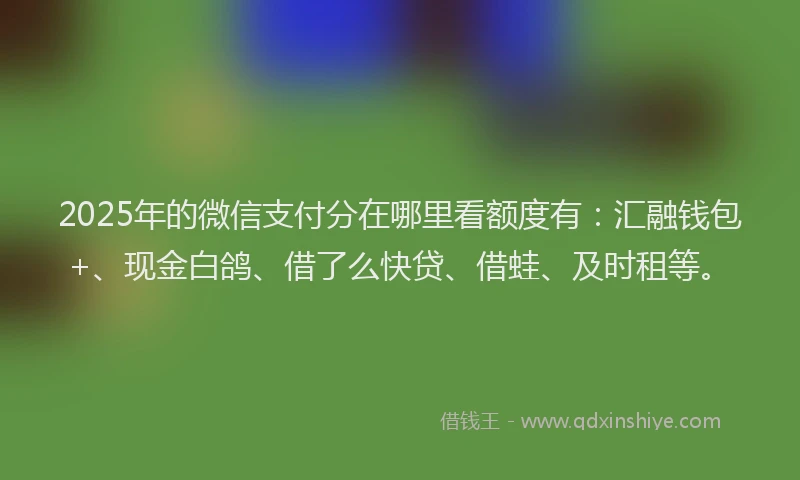 2025年的微信支付分在哪里看额度有：汇融钱包+、现金白鸽、借了么快贷、借蛙、及时租等。