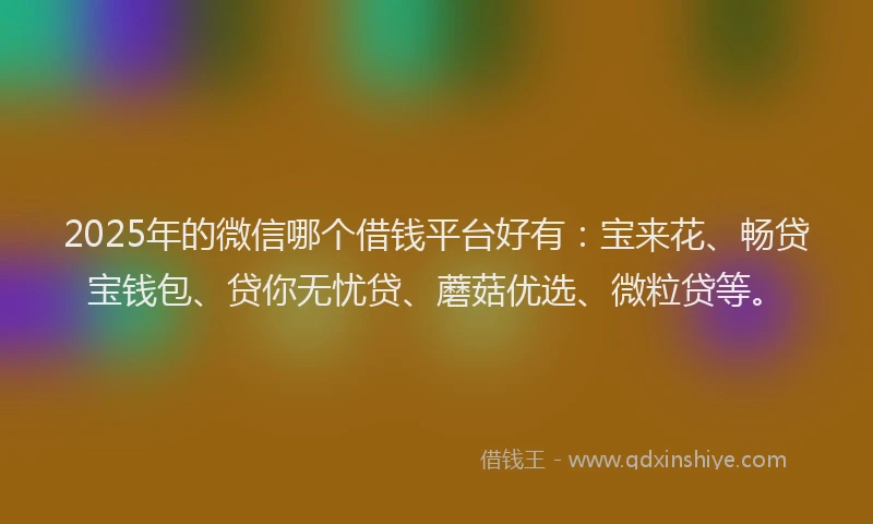 2025年的微信哪个借钱平台好有：宝来花、畅贷宝钱包、贷你无忧贷、蘑菇优选、微粒贷等。