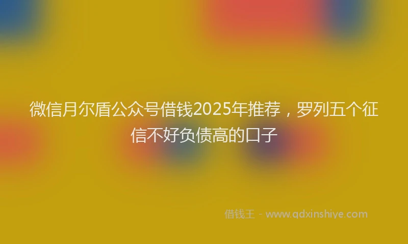 微信月尔盾公众号借钱2025年推荐，罗列五个征信不好负债高的口子