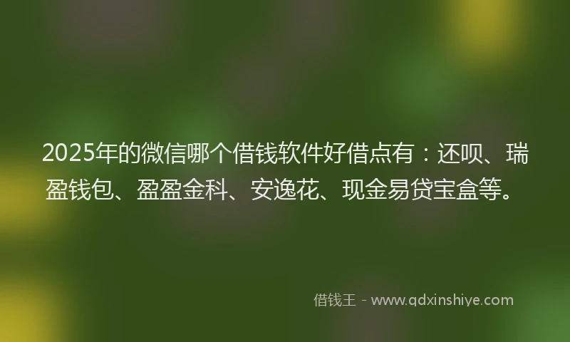 2025年的微信哪个借钱软件好借点有：还呗、瑞盈钱包、盈盈金科、安逸花、现金易贷宝盒等。
