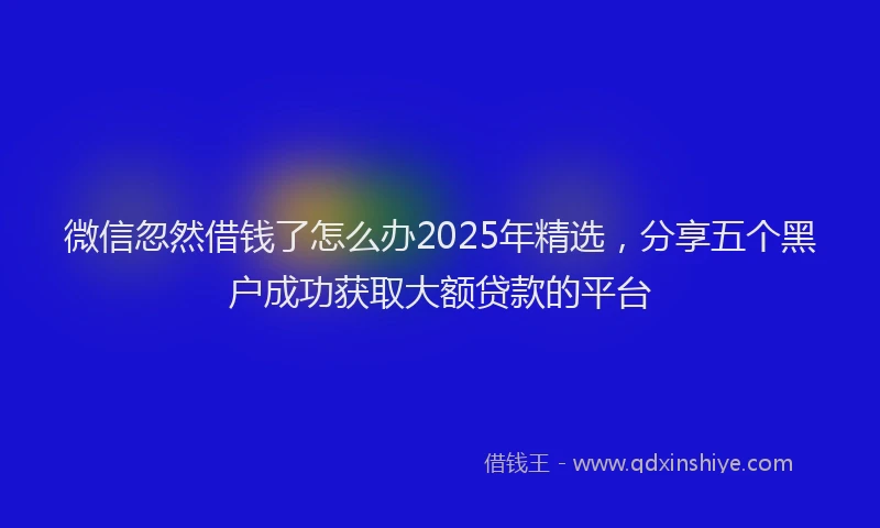 微信忽然借钱了怎么办2025年精选，分享五个黑户成功获取大额贷款的平台