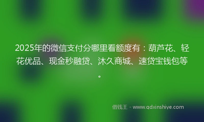 2025年的微信支付分哪里看额度有：葫芦花、轻花优品、现金秒融贷、沐久商城、速贷宝钱包等。