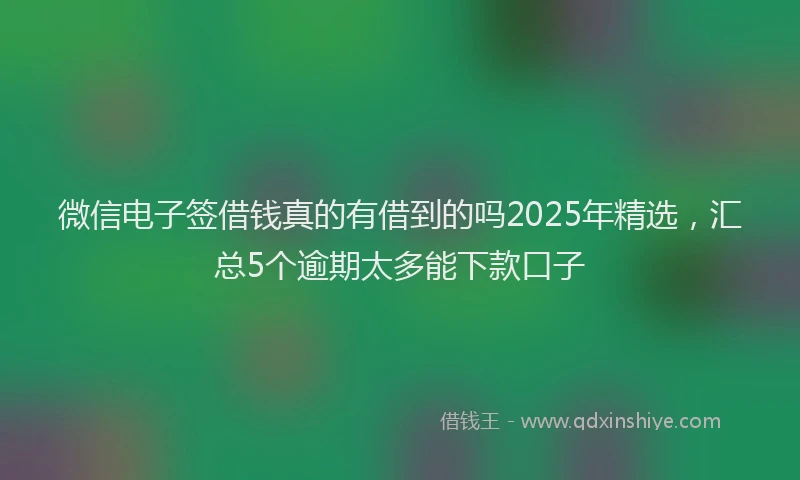 微信电子签借钱真的有借到的吗2025年精选，汇总5个逾期太多能下款口子