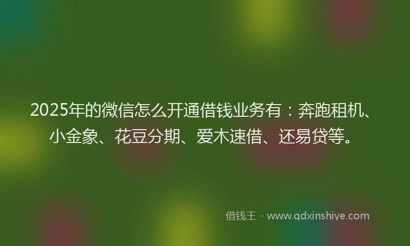 2025年的微信怎么开通借钱业务有：奔跑租机、小金象、花豆分期、爱木速借、还易贷等。