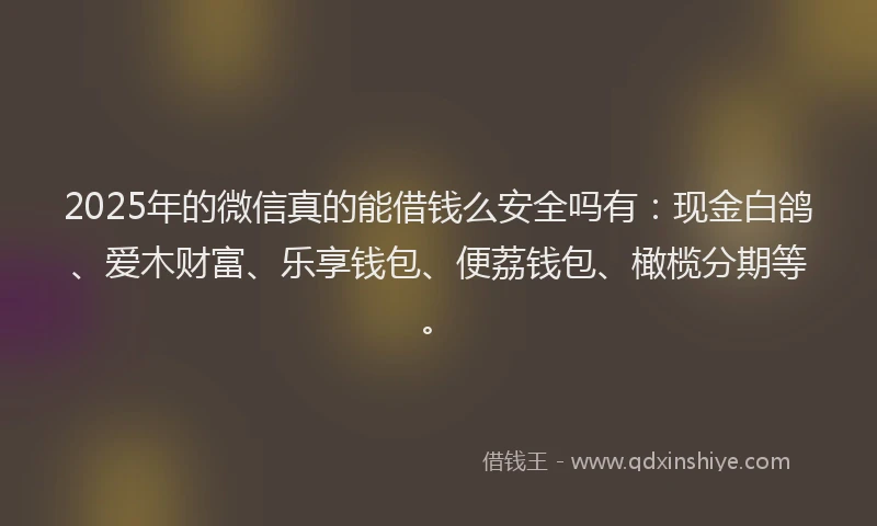 2025年的微信真的能借钱么安全吗有：现金白鸽、爱木财富、乐享钱包、便荔钱包、橄榄分期等。