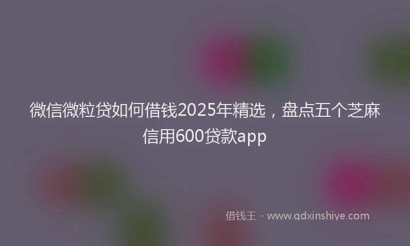 微信微粒贷如何借钱2025年精选，盘点五个芝麻信用600贷款app