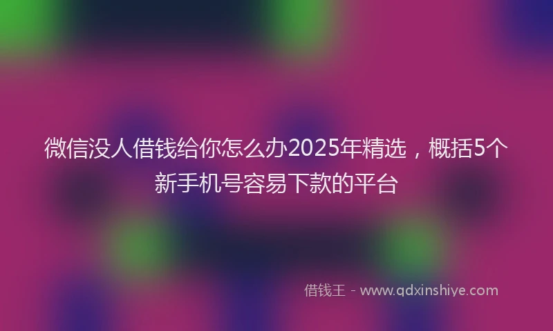 微信没人借钱给你怎么办2025年精选，概括5个新手机号容易下款的平台