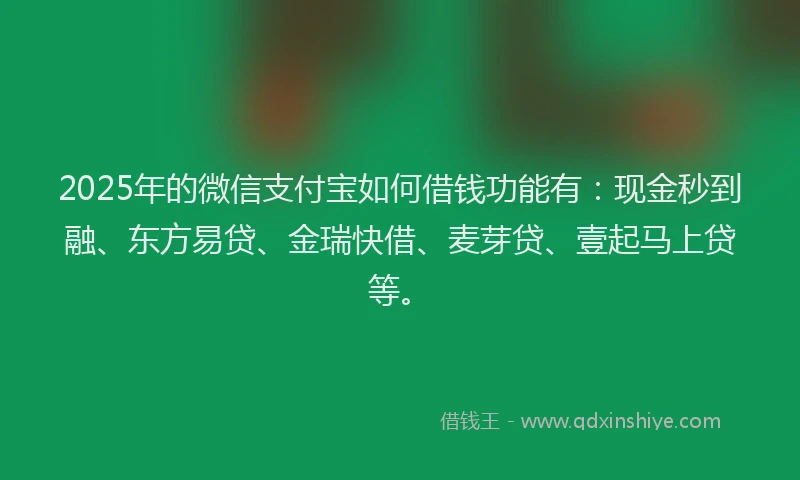 2025年的微信支付宝如何借钱功能有：现金秒到融、东方易贷、金瑞快借、麦芽贷、壹起马上贷等。