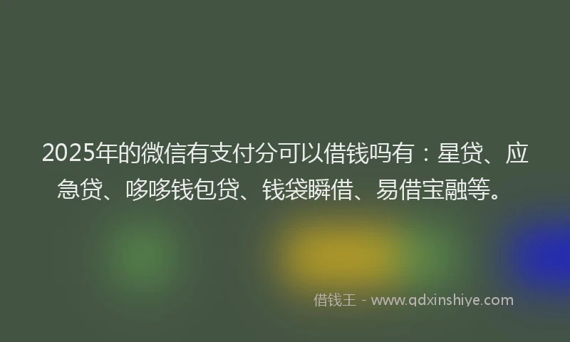 2025年的微信有支付分可以借钱吗有：星贷、应急贷、哆哆钱包贷、钱袋瞬借、易借宝融等。