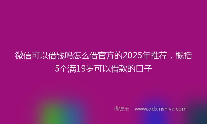 微信可以借钱吗怎么借官方的2025年推荐，概括5个满19岁可以借款的口子