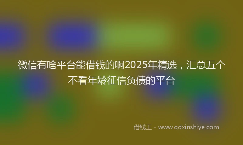 微信有啥平台能借钱的啊2025年精选，汇总五个不看年龄征信负债的平台