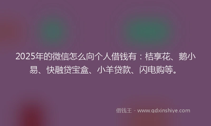 2025年的微信怎么向个人借钱有：桔享花、鹅小易、快融贷宝盒、小羊贷款、闪电购等。