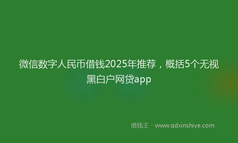 微信数字人民币借钱2025年推荐，概括5个无视黑白户网贷app