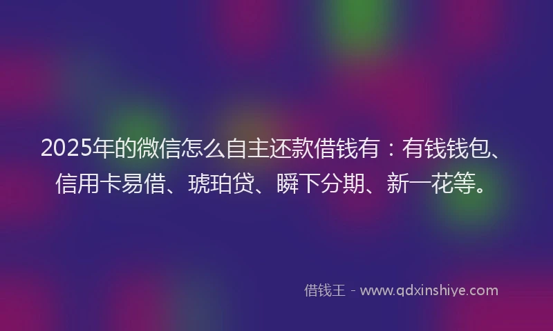 2025年的微信怎么自主还款借钱有：有钱钱包、信用卡易借、琥珀贷、瞬下分期、新一花等。