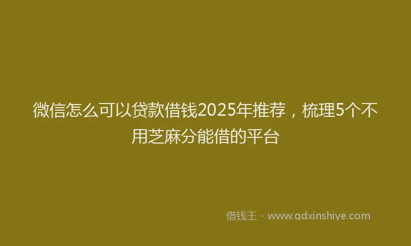 微信怎么可以贷款借钱2025年推荐，梳理5个不用芝麻分能借的平台