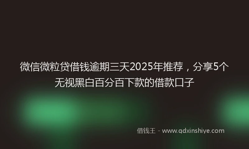 微信微粒贷借钱逾期三天2025年推荐，分享5个无视黑白百分百下款的借款口子