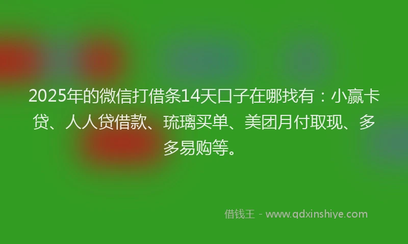2025年的微信打借条14天口子在哪找有：小赢卡贷、人人贷借款、琉璃买单、美团月付取现、多多易购等。