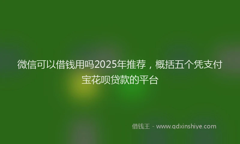 微信可以借钱用吗2025年推荐，概括五个凭支付宝花呗贷款的平台
