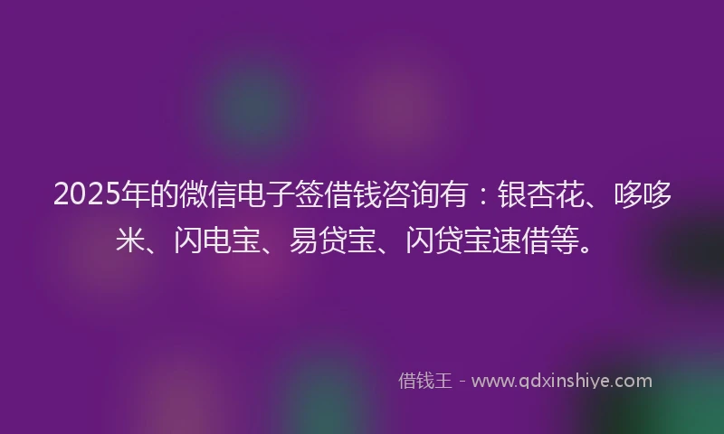 2025年的微信电子签借钱咨询有：银杏花、哆哆米、闪电宝、易贷宝、闪贷宝速借等。
