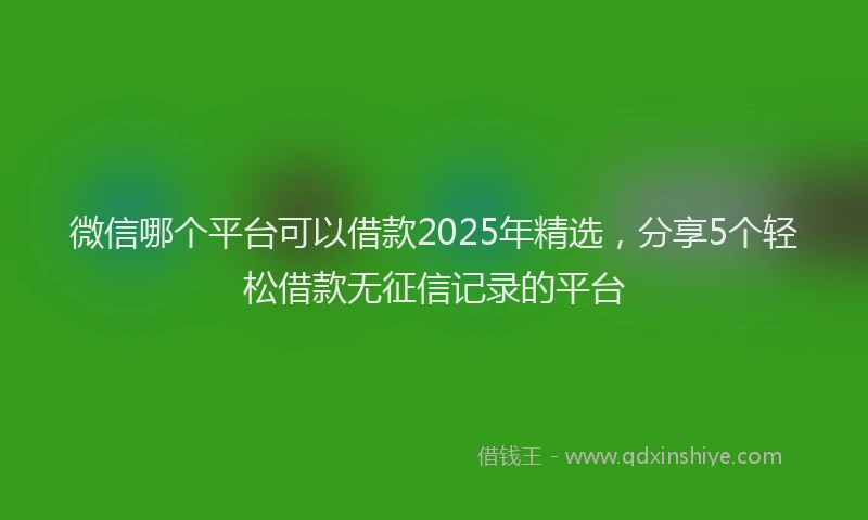 微信哪个平台可以借款2025年精选，分享5个轻松借款无征信记录的平台