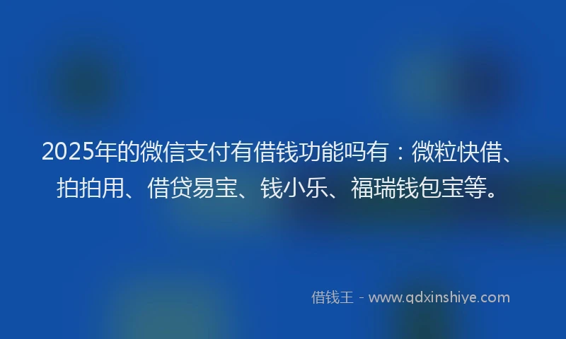 2025年的微信支付有借钱功能吗有：微粒快借、拍拍用、借贷易宝、钱小乐、福瑞钱包宝等。