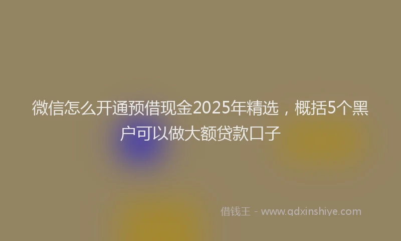 微信怎么开通预借现金2025年精选，概括5个黑户可以做大额贷款口子
