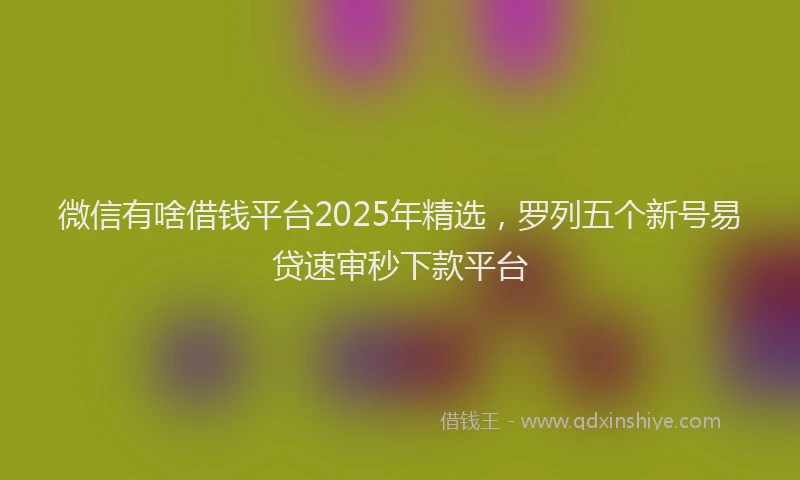 微信有啥借钱平台2025年精选，罗列五个新号易贷速审秒下款平台