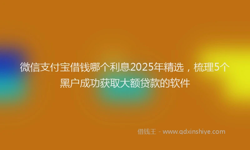 微信支付宝借钱哪个利息2025年精选，梳理5个黑户成功获取大额贷款的软件
