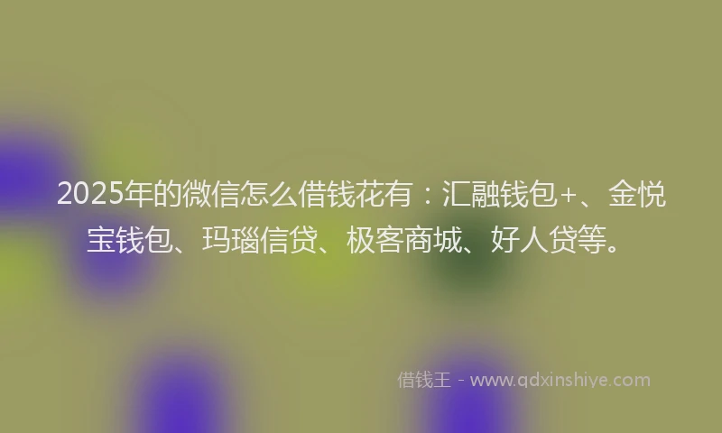 2025年的微信怎么借钱花有：汇融钱包+、金悦宝钱包、玛瑙信贷、极客商城、好人贷等。