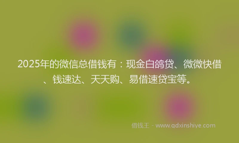 2025年的微信总借钱有：现金白鸽贷、微微快借、钱速达、天天购、易借速贷宝等。
