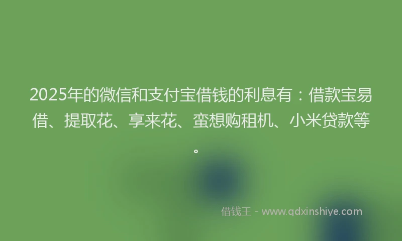 2025年的微信和支付宝借钱的利息有：借款宝易借、提取花、享来花、蛮想购租机、小米贷款等。