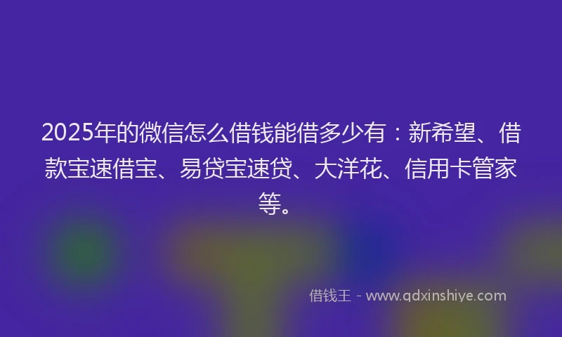 2025年的微信怎么借钱能借多少有：新希望、借款宝速借宝、易贷宝速贷、大洋花、信用卡管家等。