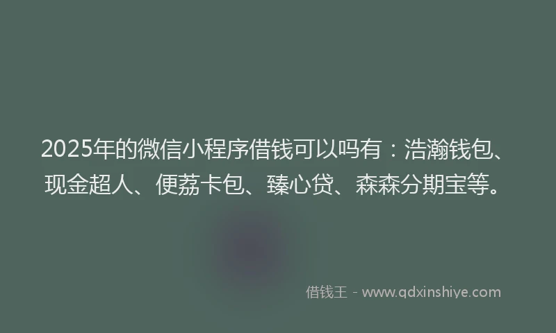 2025年的微信小程序借钱可以吗有：浩瀚钱包、现金超人、便荔卡包、臻心贷、森森分期宝等。