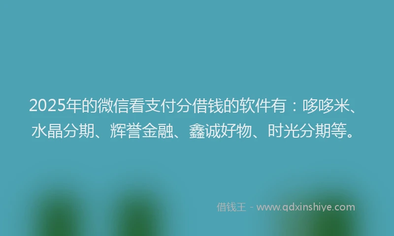 2025年的微信看支付分借钱的软件有：哆哆米、水晶分期、辉誉金融、鑫诚好物、时光分期等。