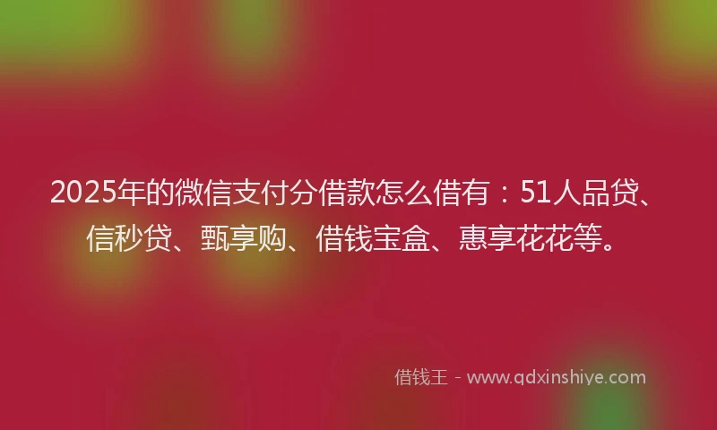 2025年的微信支付分借款怎么借有：51人品贷、信秒贷、甄享购、借钱宝盒、惠享花花等。