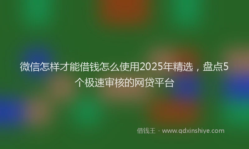 微信怎样才能借钱怎么使用2025年精选，盘点5个极速审核的网贷平台