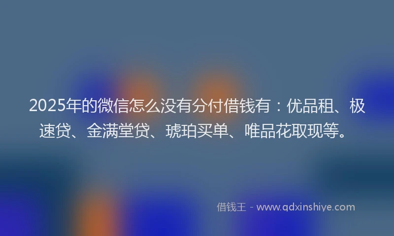 2025年的微信怎么没有分付借钱有：优品租、极速贷、金满堂贷、琥珀买单、唯品花取现等。