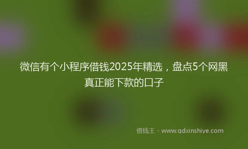 微信有个小程序借钱2025年精选，盘点5个网黑真正能下款的口子