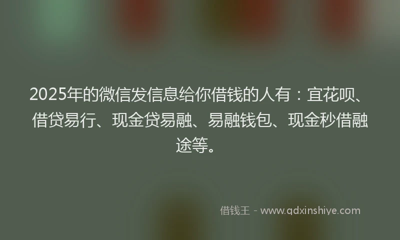 2025年的微信发信息给你借钱的人有：宜花呗、借贷易行、现金贷易融、易融钱包、现金秒借融途等。