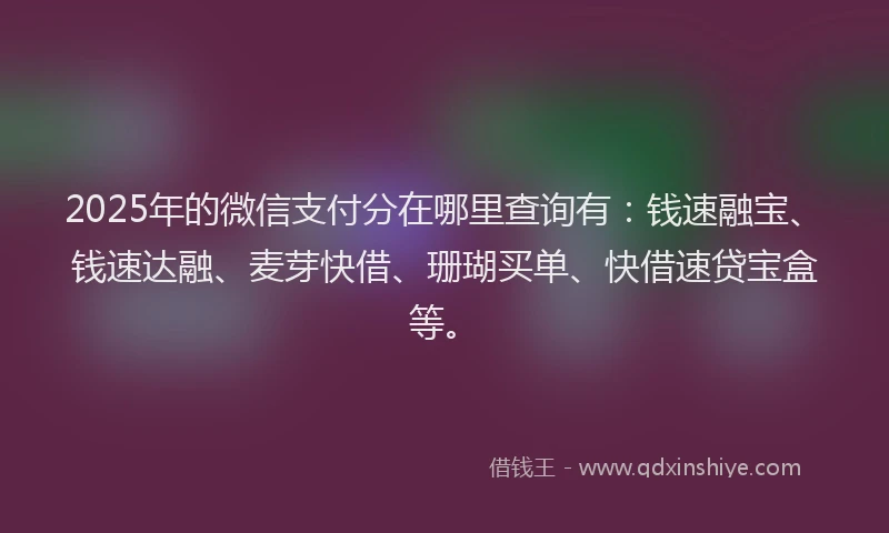 2025年的微信支付分在哪里查询有：钱速融宝、钱速达融、麦芽快借、珊瑚买单、快借速贷宝盒等。