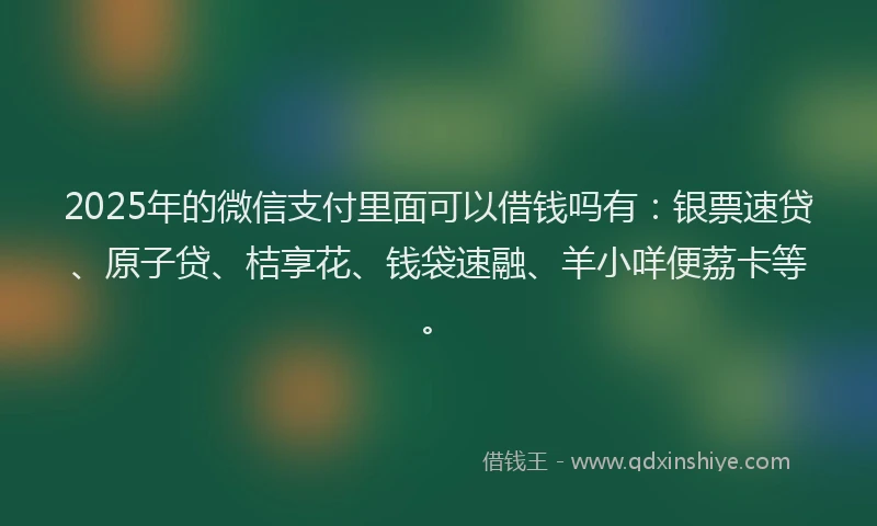 2025年的微信支付里面可以借钱吗有：银票速贷、原子贷、桔享花、钱袋速融、羊小咩便荔卡等。