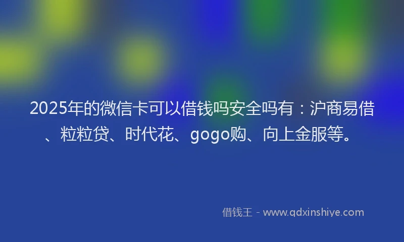 2025年的微信卡可以借钱吗安全吗有：沪商易借、粒粒贷、时代花、gogo购、向上金服等。