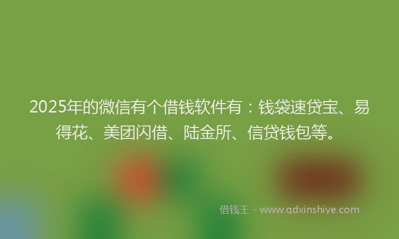 2025年的微信有个借钱软件有：钱袋速贷宝、易得花、美团闪借、陆金所、信贷钱包等。