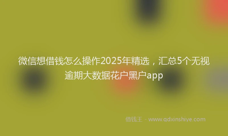 微信想借钱怎么操作2025年精选，汇总5个无视逾期大数据花户黑户app