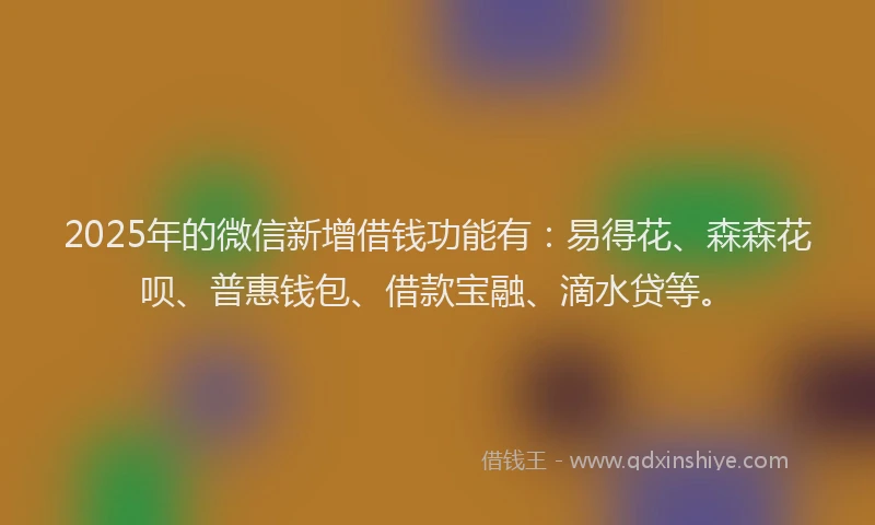 2025年的微信新增借钱功能有：易得花、森森花呗、普惠钱包、借款宝融、滴水贷等。