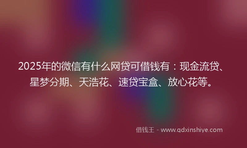 2025年的微信有什么网贷可借钱有：现金流贷、星梦分期、天浩花、速贷宝盒、放心花等。