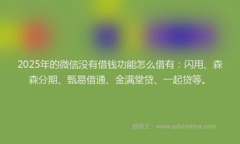 2025年的微信没有借钱功能怎么借有：闪用、森森分期、甄易借通、金满堂贷、一起贷等。