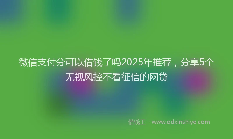 微信支付分可以借钱了吗2025年推荐，分享5个无视风控不看征信的网贷